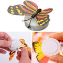 Quality Colorful Changing Butterfly LED Night Lights Lamp Kids Room Party Gift