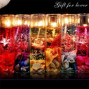Romantic Jelly Gel Wax Candle Ocean Shell Conch in Clear Glass Decoration