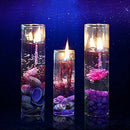 Romantic Jelly Gel Wax Candle Ocean Shell Conch in Clear Glass Decoration