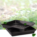 Mini Plastic Black Succulents Can Flower Plants for Home Office Garden Decor