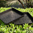 1pc Seed Starter Kit Starting Plant Propagation Tray Dome Garden