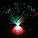 12x LED Fiber Optic Lantern Christmas Tree Decoration Automatically Flash New