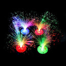 12x LED Fiber Optic Lantern Christmas Tree Decoration Automatically Flash New