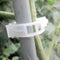400xTomato-Clips-Supports Twine-Cages Vines Garden-Plant-Clip Connects-Plant