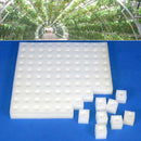 2x Transplanted Sponge Soilless Hydroponic Vegetable Cultivation System Garden