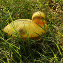 Pond Decoration Plastic Bait Mallard Duck Duckling fgd