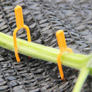 Plant Collet Is Used For Fixing Fixing Fixture To Clip Watermelon Vine Tool New