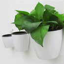 Self-watering Plant Flower Basket Wall Hanging Plastic Planter House Garden3 pcs