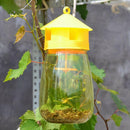 Non-Toxic Fruit Fly Flies Pest Trap Bottle Bait Lure Home Insect Orchard Terrace