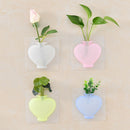 Magic Rubber Silicone Sticky Flower Wall Hang Vase Container Bottle Best 4 x