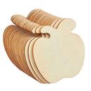 20 Pcs Wood Slices Unfinished Fruit Shape Blank Wood Pieces for Home Decor