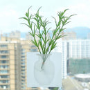 3x Home Suction Cup Wall Mounted Plant Holder Decorative Flower Container Decor