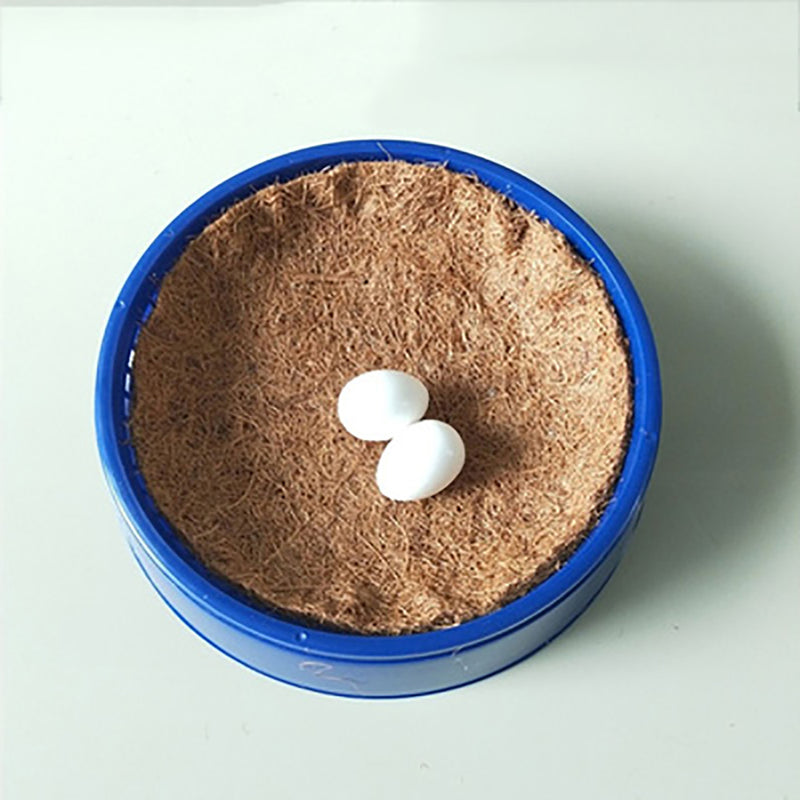 Blue Pigeon Plastic Dehumidification Breeding Eggs Basin Nest Bowl