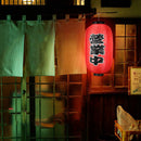 Set of 2 Traditional Japanese Style Red Hanging Lantern Decoration Festive Lamp