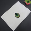 100X Embroidered Sew Iron On Patches Peacock Eye Clothes Applique DIY Craft