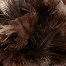 Ostrich Feather Brush Duster Dust Cleaning Tool Wooden Handle NEW