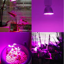LED Grow Light Hydroponic Full Spectrum Indoor Veg&Flower Plant Lamp *1