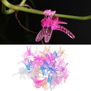 30Pcs Orchid Support Clips Plant Garden Flower Plastic Stem Clips Upright Cute
