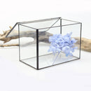 Rectangle Clear Glass Geometric Terrarium Box Tabletop Succulent Plant Planter