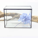 Rectangle Clear Glass Geometric Terrarium Box Tabletop Succulent Plant Planter
