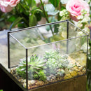 Rectangle Clear Glass Geometric Terrarium Box Tabletop Succulent Plant Planter