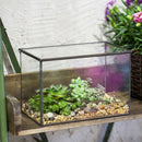 Rectangle Clear Glass Geometric Terrarium Box Tabletop Succulent Plant Planter