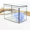 Rectangle Clear Glass Geometric Terrarium Box Tabletop Succulent Plant Planter
