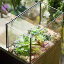 Rectangle Clear Glass Geometric Terrarium Box Tabletop Succulent Plant Planter