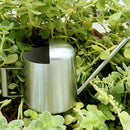 Indoor Small Watering Can Metal Galvanised Steel 300ML Narrow Spout Plants