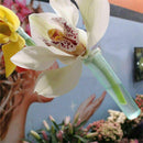 100x Water Tube Cap Fresh Keeping Nutrition Art Decor Floral High Quality NEW