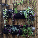 4 Grids Grow Planter Bag Garden Plastic Planting Bag For Growing Vegetable Plant