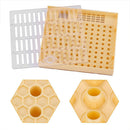 Beekeeping Bee Queen Rearing Cell Box Plastic Honeycombs Bee Cage Isolation