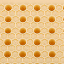 Plastic Bee Queen Box Queen Rearing Box Cultivate Queen Bee Tool Beekeeping