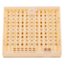 Beekeeping Bee Queen Rearing Cell Box Plastic Honeycombs Bee Cage Isolation