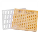 Plastic Bee Queen Box Queen Rearing Box Cultivate Queen Bee Tool Beekeeping