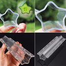 5x Garden Fruit Vegetable Shaped Cucumber Shaping Mold Growth Forming Tool DIY