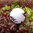 2 Pcs Solar LED Ground Light Ball LED Ground Light Ball Lamp ABS easy to install
