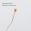 10pcs New Flower Fragrance Diffuser Rattan Reed Aroma Sticks Best Decoration