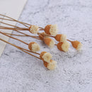 10pcs New Flower Fragrance Diffuser Rattan Reed Aroma Sticks Best Decoration