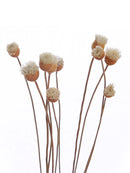 10pcs New Flower Fragrance Diffuser Rattan Reed Aroma Sticks Best Decoration