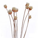 10pcs New Flower Fragrance Diffuser Rattan Reed Aroma Sticks Best Decoration