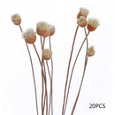 10pcs New Flower Fragrance Diffuser Rattan Reed Aroma Sticks Best Decoration