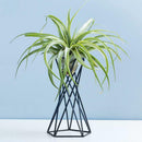 Ceramic Flower Garden Plant Display Planter Stand Holder Decor
