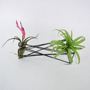 Ceramic Flower Garden Plant Display Planter Stand Holder Decor