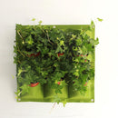 9 Pockets Wall Hanging Planting Bag Garden Vertical Flower Grow Pouch Planter