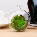 Ornament Container Candlestick-Ball Glass-Vase Flower Hanging Clear Best 6 x