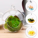 6pcs Ornament Container Candlestick-Ball Glass-Vase Flower Hanging Clear Home