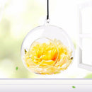 6pcs Ornament Container Candlestick-Ball Glass-Vase Flower Hanging Clear Home