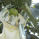 Fruit Picker Convenient Saving Horticultural Picking Flexible tool Newest Useful