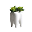 Tooth Shape Ceramic Flower Green Succulent Planter Cactus Decor Plant